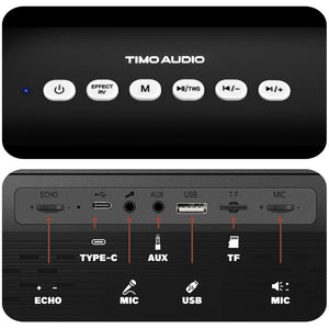 Portable Rechargeable Karaoke Machine-P10