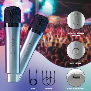 Portable Rechargeable Karaoke Machine-P10